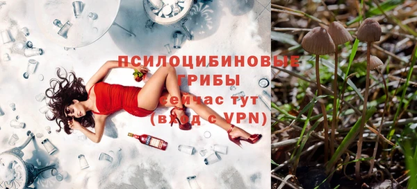 таблы Верхний Тагил